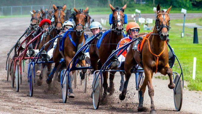 Victoria Cup brings in record turnover for state harness racing