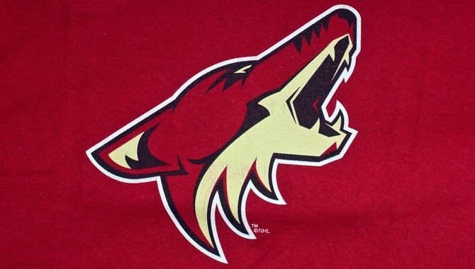 Arizona Coyotes and Meruelo Gaming to launch sportsbook in Arizona